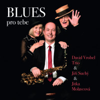 CDDavid Vrobel Trio/Such� Ji��/Molavcov� Jitka / Blues pro tebe