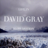 CDGray David / Life In Slow Motion