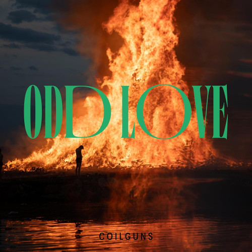 LP / Coilguns / Odd Love / Vinyl