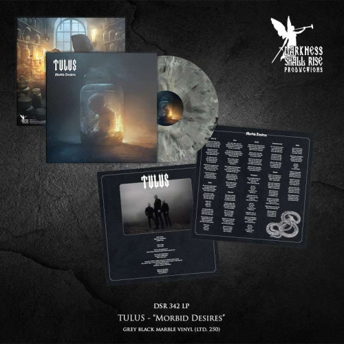 LP / Tulus / Morbid Desires / Gray Black Marbled / Vinyl