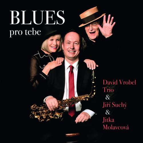 CD / David Vrobel Trio/Such� Ji��/Molavcov� Jitka / Blues pro tebe