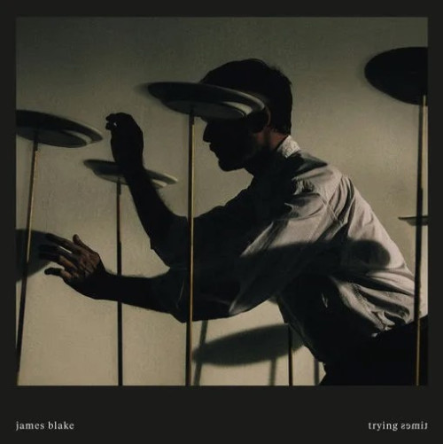 2LP / Blake James / Trying Times / Vinyl / 2LP