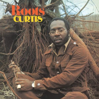 LPMayfield Curtis / Roots / Vinyl / Indie / Coloured / Neon Orange