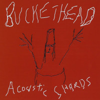 CDBuckethead / Acoustic Shards