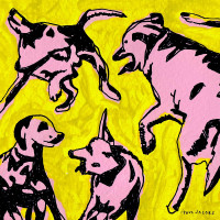 CDJacobs Paul / Pink Dogs On the Green Grass
