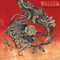 LPKylesa / Time Will Fuse Its Worth / Yellow / Vinyl
