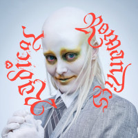 CDFever Ray / Radical Romantics