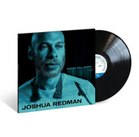 LPRedman Joshua / Words Fall Short / Vinyl
