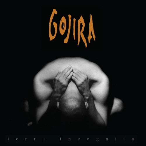2LP / Gojira / Terra Incognita / Reedice / Vinyl / 2LP