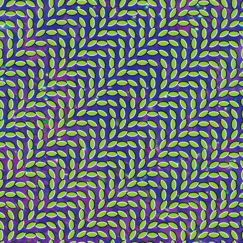 2LP / Animal Collective / Merriweather Post... / Coloured / Vinyl / 2LP