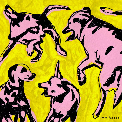 CD / Jacobs Paul / Pink Dogs On the Green Grass