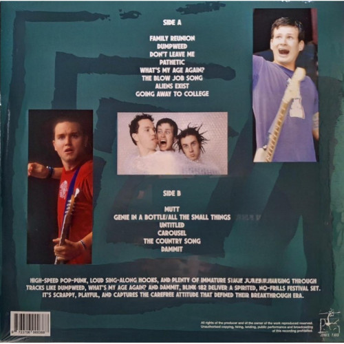 LP / Blink 182 / Live At Big Day Out Festival Sydney 2000 / Vinyl