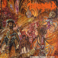 CDTomb Mold / Manor of Infinite Forms