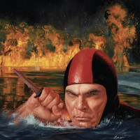 CDDJ Shadow / Action Adventure