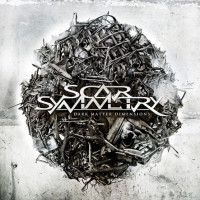 2LPScar Symmetry / Dark Matter Dimension / Grey / Vinyl / 2LP
