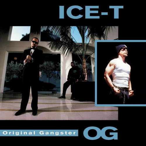 LP / Ice T / O.G. / Vinyl