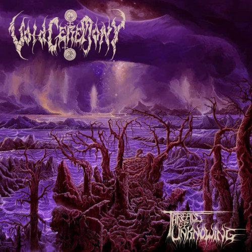 CD / Voidceremony / Threads Of Unknowing