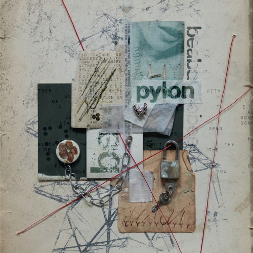 CD / Beabadoobee / Pylon