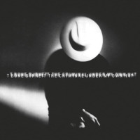 CDBurnett T-Bone / Criminal UnderMy Hat