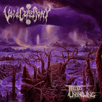 LPVoidceremony / Threads Of Unknowing / Vinyl