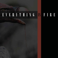 CDEverything Is Fire / Everything Is Fire