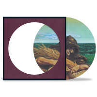 LPGrateful Dead / Wake of the Flood / 50th Annivers. / Picture / Vinyl