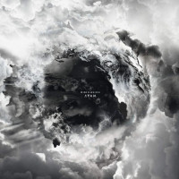 2LPDisillusion / Ayam / Vinyl / 2LP