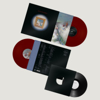 2LPMy New Band Believe / My New Band Believe / Oxblood / Vinyl / 10"+LP