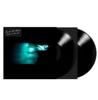 2LPBridgers Phoebe / Lost Weekend / Vinyl / 2LP