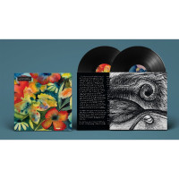 2LPLenker Adrianne / Songs And Instrumentals / Vinyl / 2LP