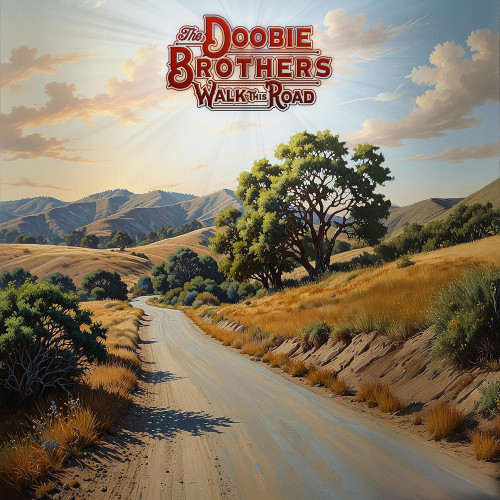 LP / Doobie Brothers / Walk This Road / Vinyl
