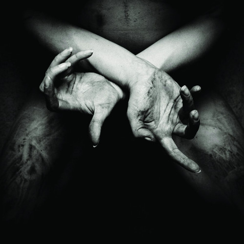 CD / Shining / X-Varg Utan Flock / Limited / DigiBox