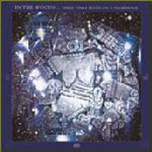 CD / In The Woods / Three Times Seven On A Pilgrimage