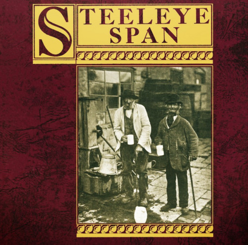 LP / Steeleye Span / Ten Man Mop Or Mr.Reservoir Butler Rides Again