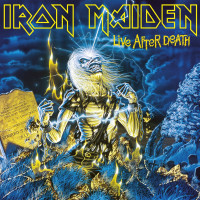 2LPIron Maiden / Live After Death / 2014 / Vinyl / 2LP