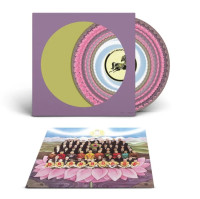 LPHarrison George / Dark Horse / RSD 2026 / Coloured / Viny