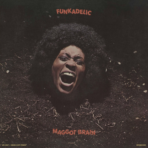 LP / Funkadelic / Maggot Brain / Reedice 2026 / Vinyl