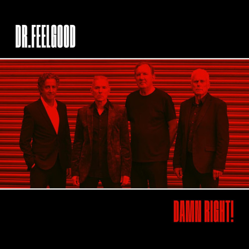 LP / Dr.Feelgood / Damn Right! / Vinyl