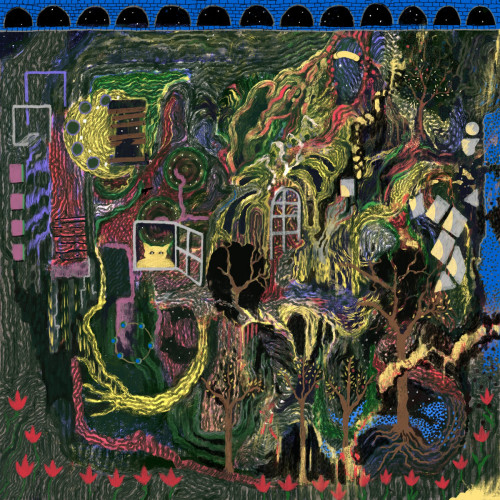 LP / King Gizzard & The Lizard Wizard / Demos Vol.5+6 / Vinyl / 2LP
