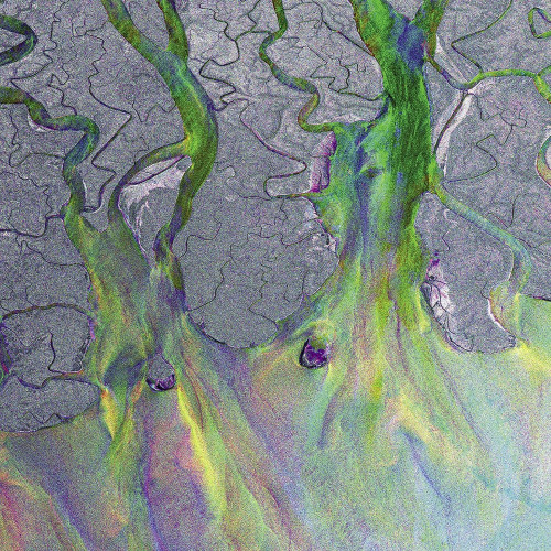 CD / Alt-J / An Awesome Wave