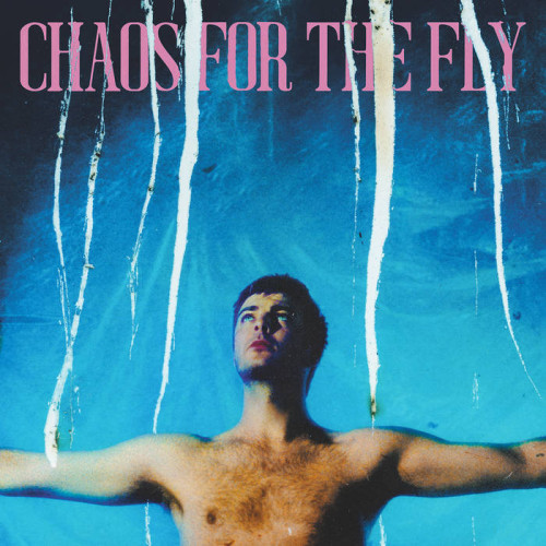 LP / Chatten Grian / Chaos For The Fly / Vinyl