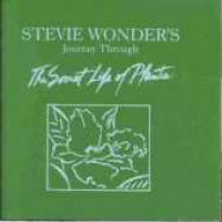 2CDWonder Stevie / Journey Through / Secret Life Of Plants / 2CD