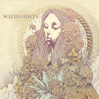CDWidlights / Widlights