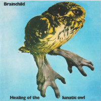 CDBrainchild / Healing Of The Lunatic Owl