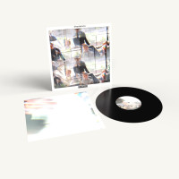 LPCharlatans / We Are Love / Vinyl