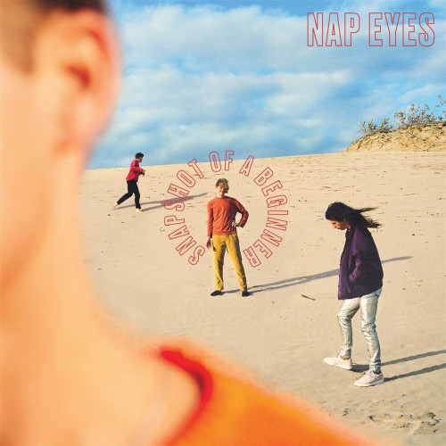 LP / Nap Eyes / Snapshot of a Beginner / Vinyl