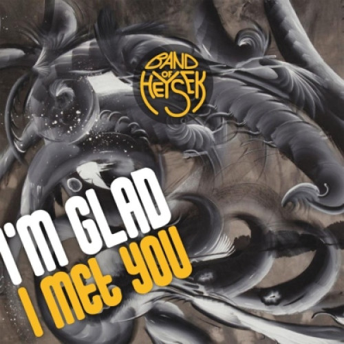2LP / Band Of Heysek / I'm Glad I Met You / Vinyl / 2LP