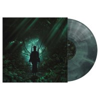 LPGlasswaves / while(True) / Green & Black Galaxy / Vinyl