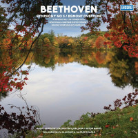UHQRBeethoven / Symphony No 5 / Egmont Overture / Vinyl