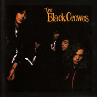 LPBlack Crowes / Shake Your Money Maker / Vinyl